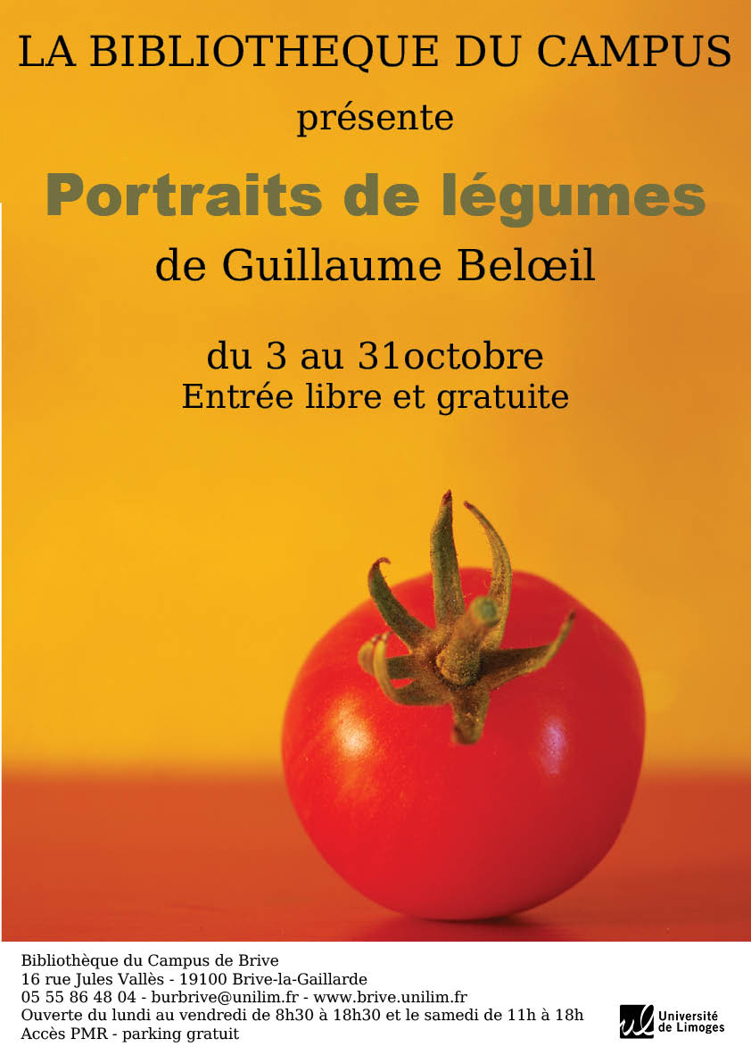 Affiche de l'exposition de Guillaume Beloeil