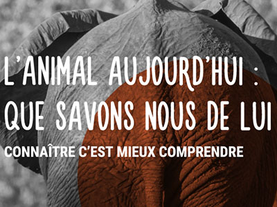 L'animal, que savons-nous de lui ?