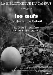 Affiche de l'exposition de Guillaume Beloeil