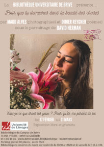 Pour que tu demeure dans la beauté des choses